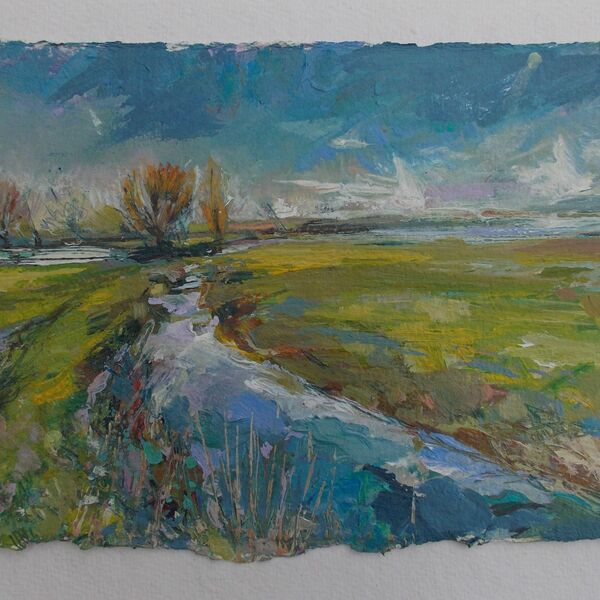 Parrett by Thorney (available through the Martock Gallery, sold)