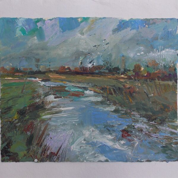 River Parrett - I Saw a Kingfisher