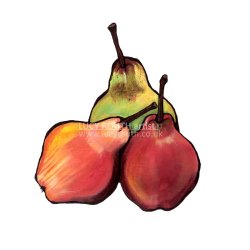 3 Pears