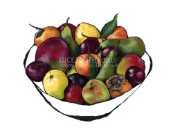 Abundance of Colour