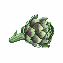 Artichoke Mini Print