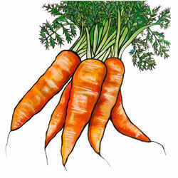 Carrots Mini Print