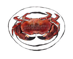 Crab