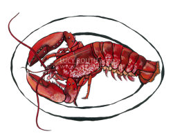 Dartmouth Lobster