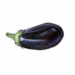 Aubergine mini print