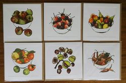 Greeting Cards Pack A