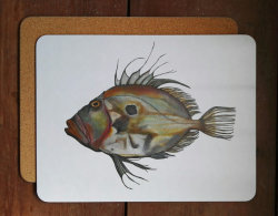 John Dory large placemat/serving mat