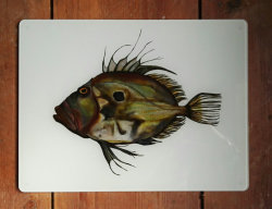John Dory Glass Worktop Protector