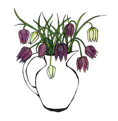 Snakeshead Fritillary
