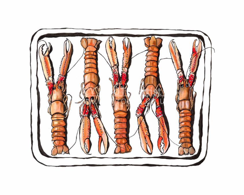 Langoustine
