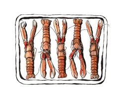 Langoustine