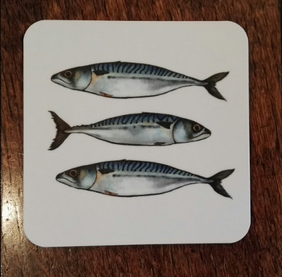 Mackerel coaster
