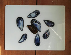 Mussel Shells Glass Worktop Protector