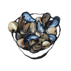 Mussels and Clams