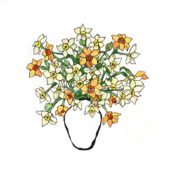 Narcissus