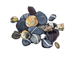 Northcott Pebbles