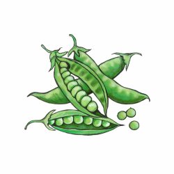Peas Mini Print