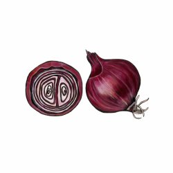Red Onion Mini Print