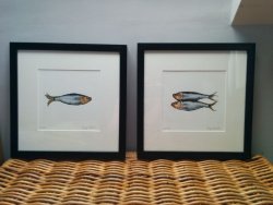 Sprat I and Sprats II