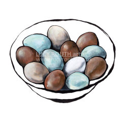 Susie's Eggs