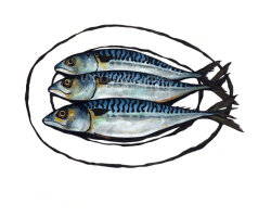Three Mackerel