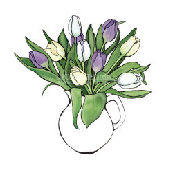 Tulips