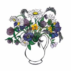 Wild Flowers