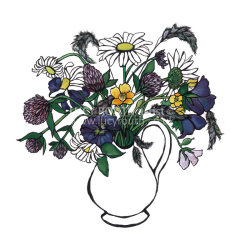 Wild Flowers