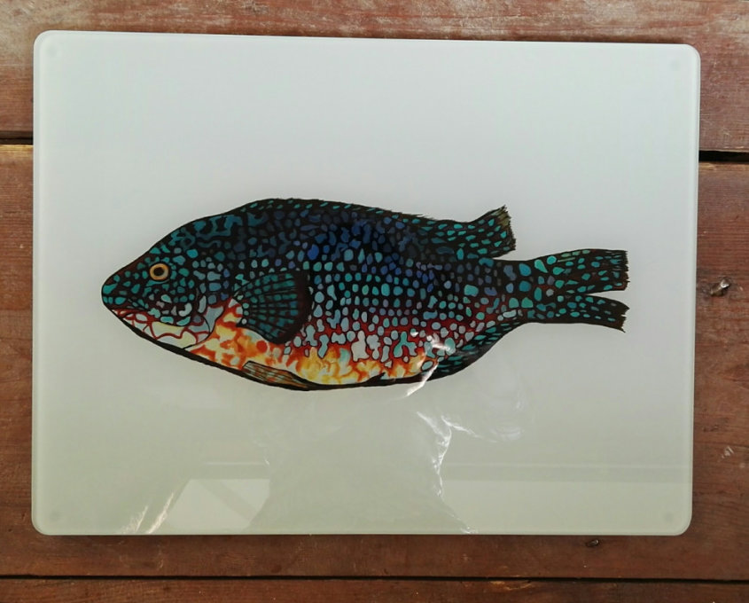 Wrasse Glass Worktop Protector