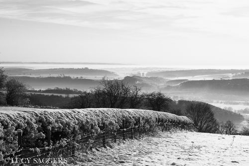 Looking towards Gilling from Ampleforth Beacon, January 2013
