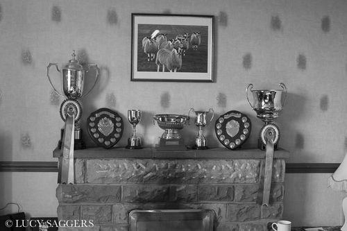 Mantlepiece, Breck House Farm, Bransdale, March 2014