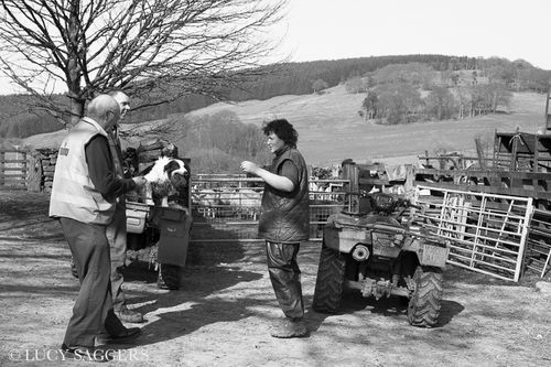 The postman calls, Bransdale, March 2014