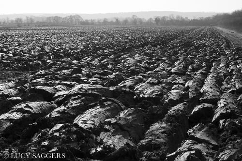 First plough of the year, Stonegrave, February 2013