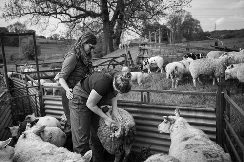 Mandy and Fran clipping