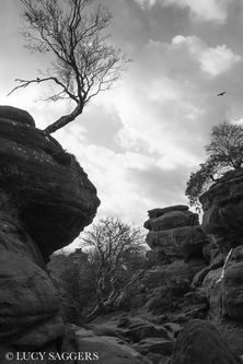 Brimham Rocks, Halloween 2013