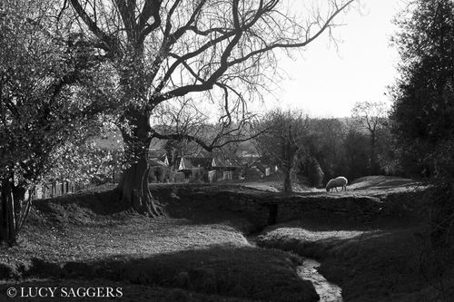 Old mill dam, Ampleforth, December 2013