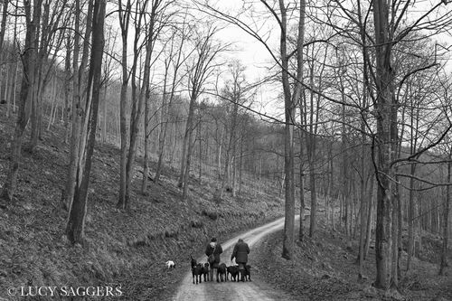 Pickers up, Duncombe Park, January 2014