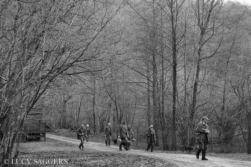 The beaters return, Duncombe Park, January 2014