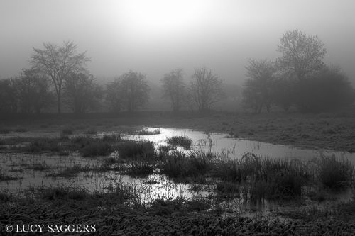 Misty sun over frozen floodwater, Byland Abbey, December 2012