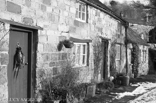 Special delivery, Rievaulx, January 2015