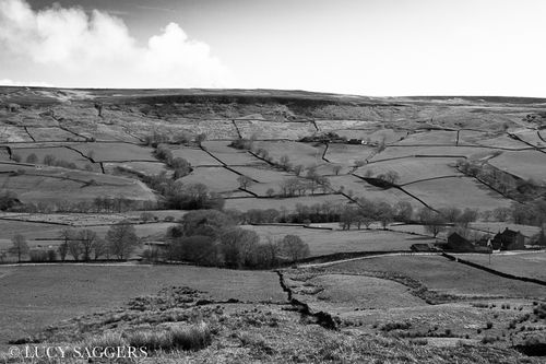 Burning heather, Bransdale, March 2014