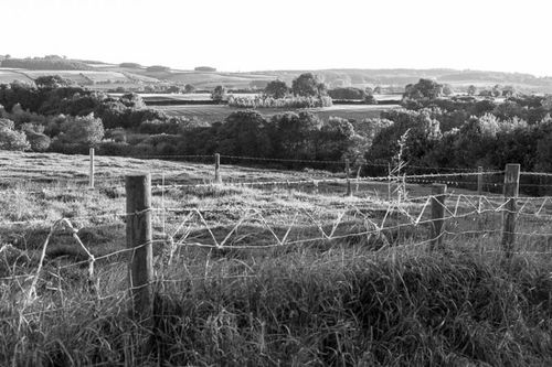 Fields and woodland, Ampleforth, September 2015