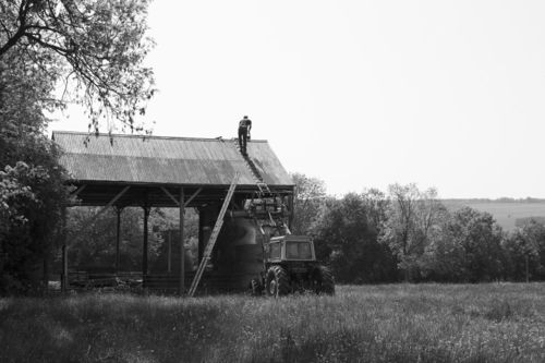 Ben Skelton painting the barn roof, Ampleforth, June 2016