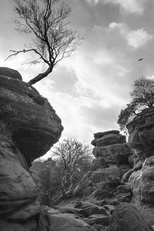 Brimham Rocks
