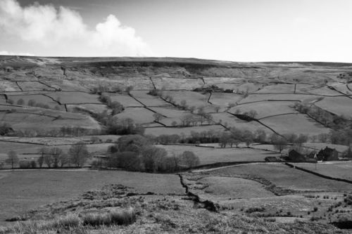 Burning heather, Bransdale, March 2014
