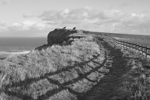 Cleveland Way above Cayton Bay