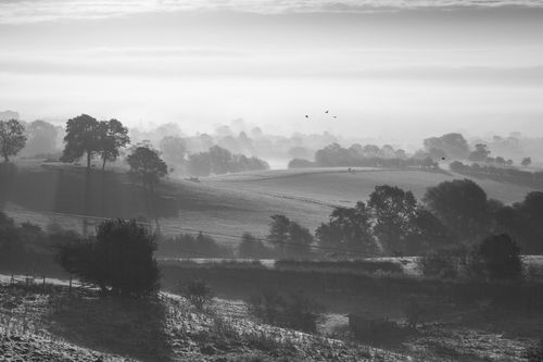 Early autumn morning looking over Ampleforth, October 2012