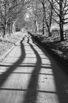 Fence shadow, Dalby, February 2015