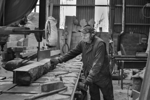 Kieren Wall (I), MJ Wall and Sons, Ampleforth sawmill, January 2014