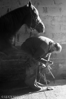 Master Farrier, March 2014. 2nd ROUND TAYLOR WESSING PHOTOGRAPHIC PORTRAIT PRIZE, National Portrait Gallery, London.